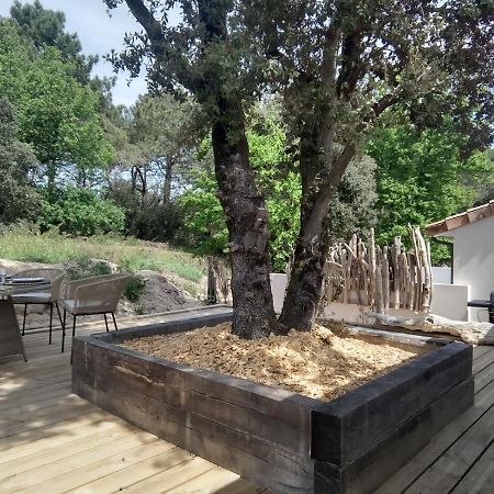 Villa Bois Flottes Le Verdon-sur-Mer Exteriör bild